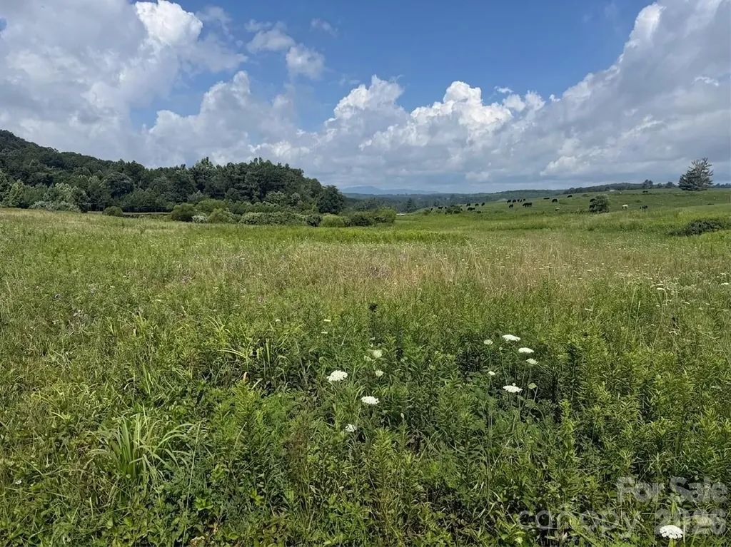 Tbd Blue Ridge Estates Ennice NC 28623