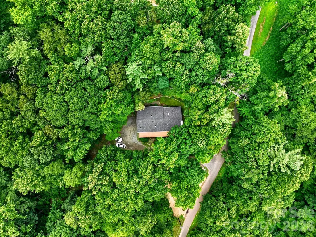 12 Beech Tree Lane Asheville NC 28804