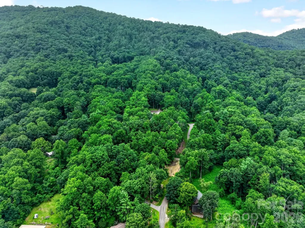 12 Beech Tree Lane Asheville NC 28804