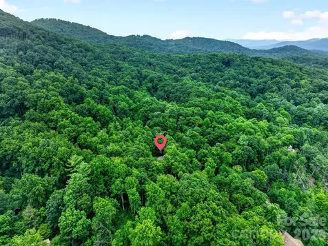12 Beech Tree Lane Asheville NC 28804