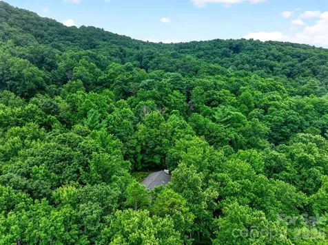 12 Beech Tree Lane Asheville NC 28804