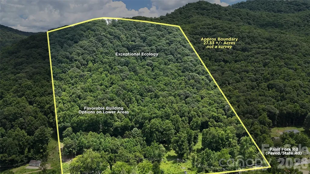 Tbd Paint Fork Road Barnardsville NC 28709