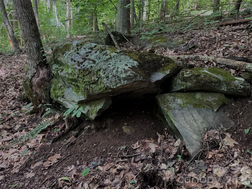 Tbd Paint Fork Road Barnardsville NC 28709