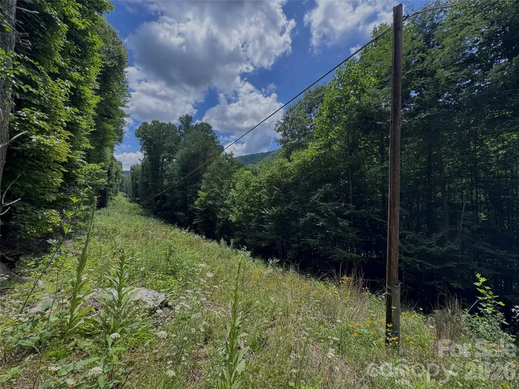 Tbd Paint Fork Road Barnardsville NC 28709