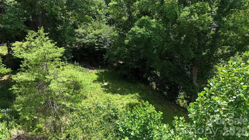 Tbd Paint Fork Road Barnardsville NC 28709