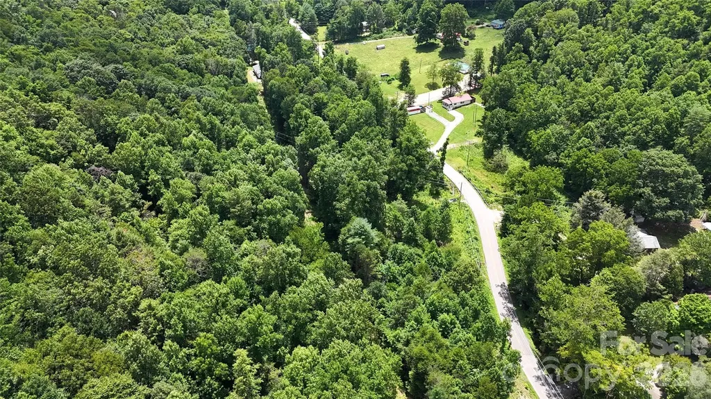 Tbd Paint Fork Road Barnardsville NC 28709