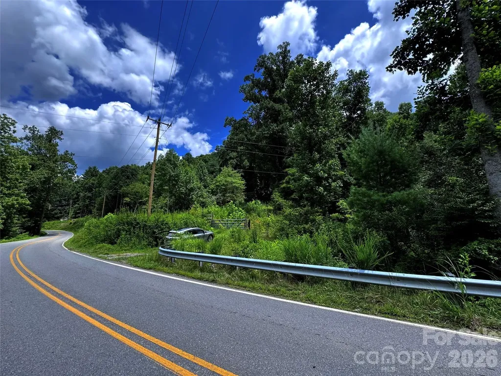 Tbd Paint Fork Road Barnardsville NC 28709