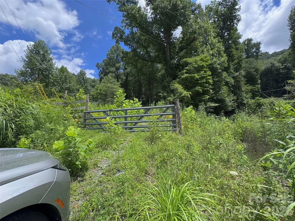 Tbd Paint Fork Road Barnardsville NC 28709