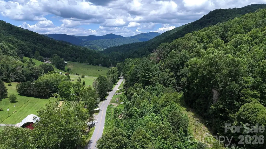 Tbd Paint Fork Road Barnardsville NC 28709