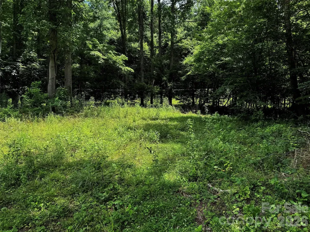 Tbd Paint Fork Road Barnardsville NC 28709