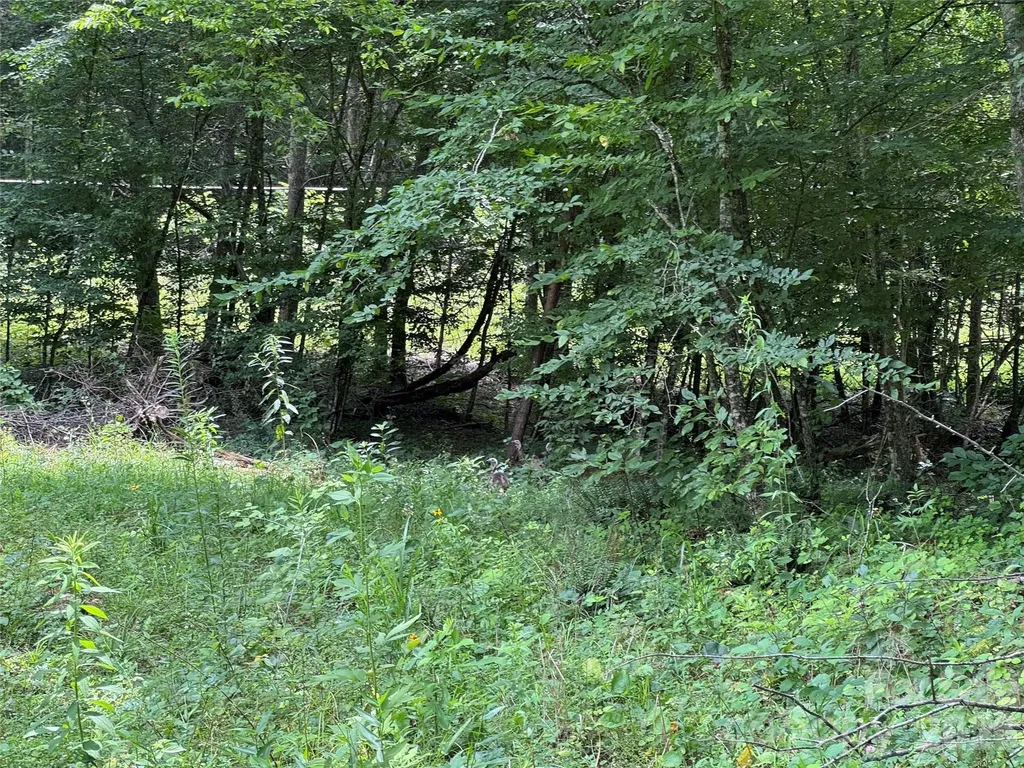 Tbd Paint Fork Road Barnardsville NC 28709