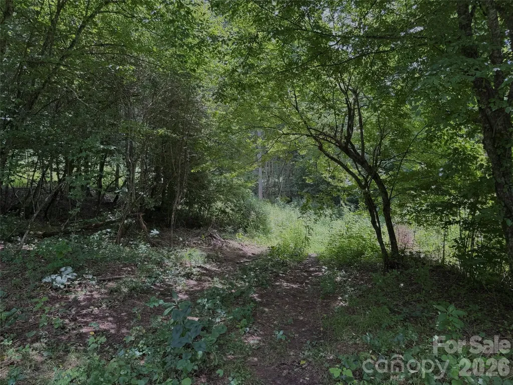 Tbd Paint Fork Road Barnardsville NC 28709