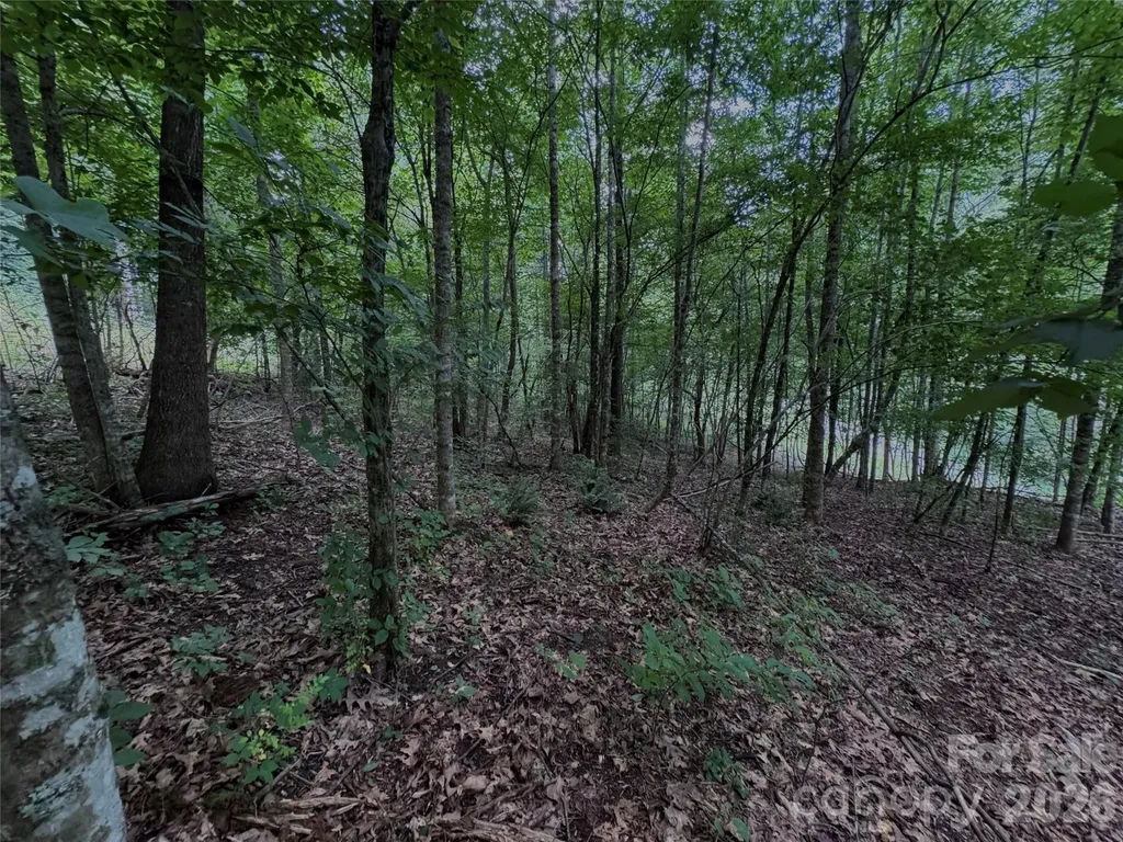 Tbd Paint Fork Road Barnardsville NC 28709