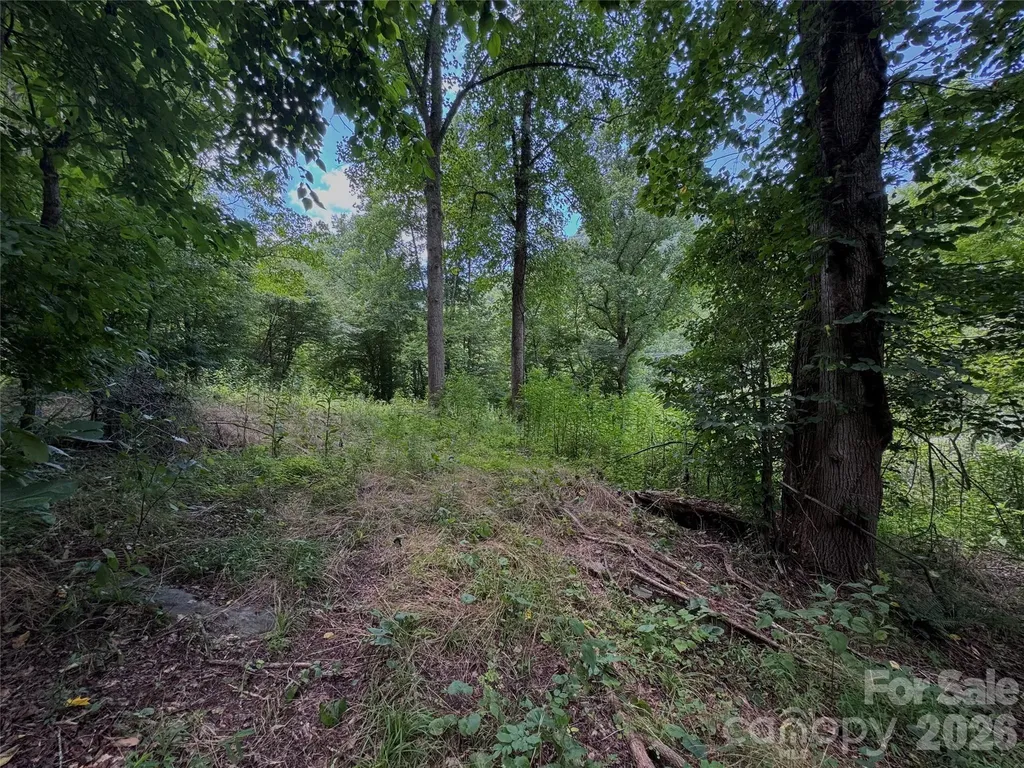 Tbd Paint Fork Road Barnardsville NC 28709