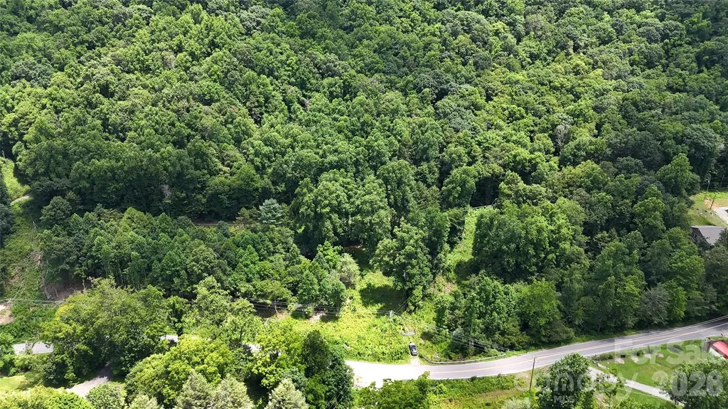 Tbd Paint Fork Road Barnardsville NC 28709