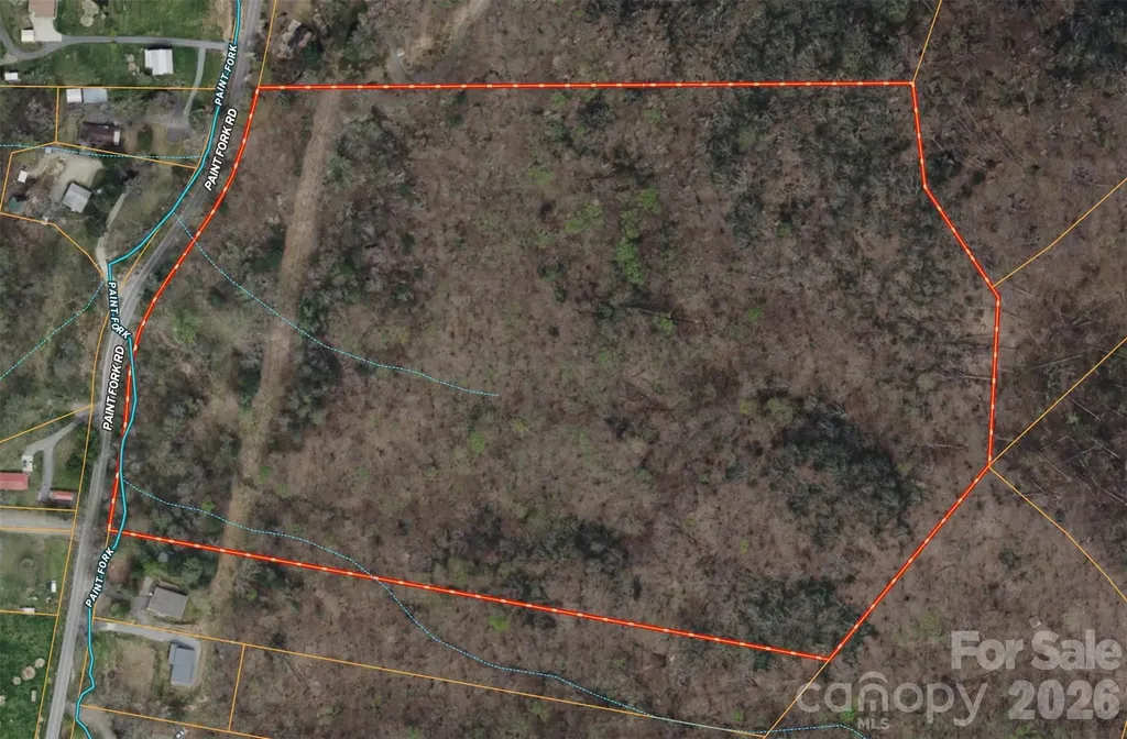 Tbd Paint Fork Road Barnardsville NC 28709