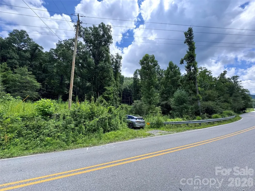 Tbd Paint Fork Road Barnardsville NC 28709