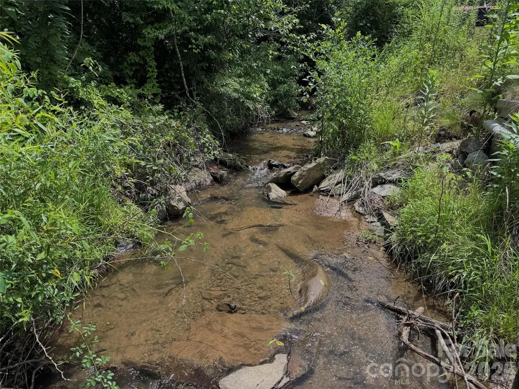 Tbd Paint Fork Road Barnardsville NC 28709