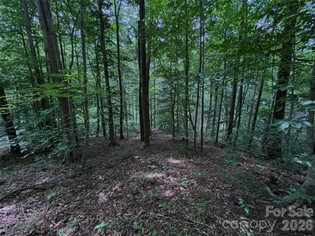 Tbd Paint Fork Road Barnardsville NC 28709