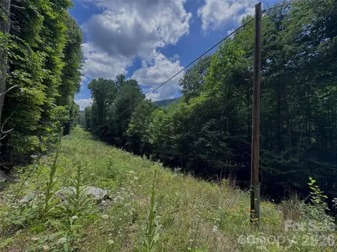 Tbd Paint Fork Road Barnardsville NC 28709