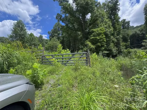 Tbd Paint Fork Road Barnardsville NC 28709