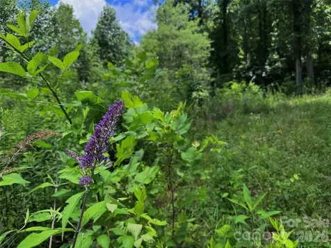 Tbd Paint Fork Road Barnardsville NC 28709