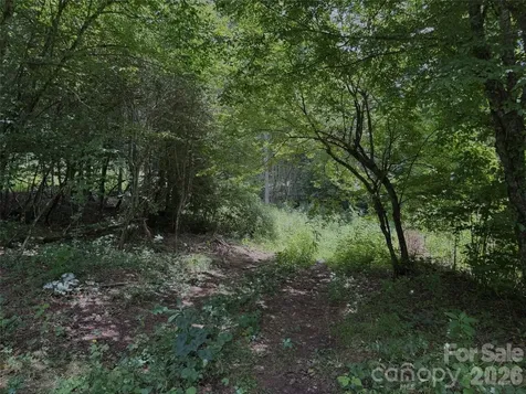 Tbd Paint Fork Road Barnardsville NC 28709