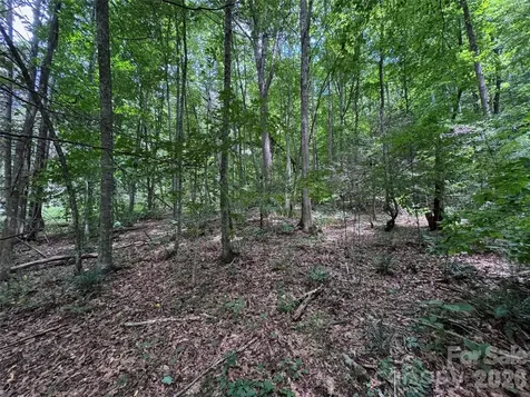Tbd Paint Fork Road Barnardsville NC 28709