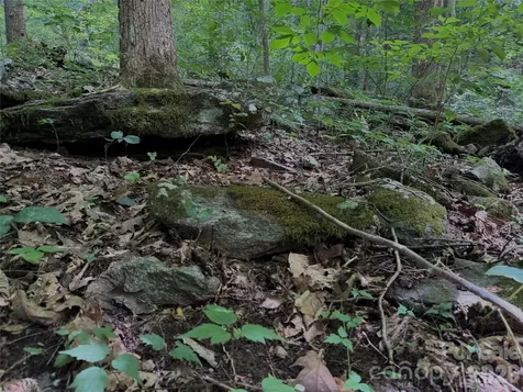 Tbd Paint Fork Road Barnardsville NC 28709