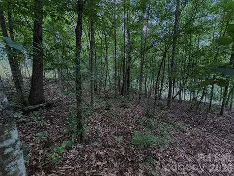 Tbd Paint Fork Road Barnardsville NC 28709