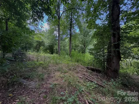 Tbd Paint Fork Road Barnardsville NC 28709