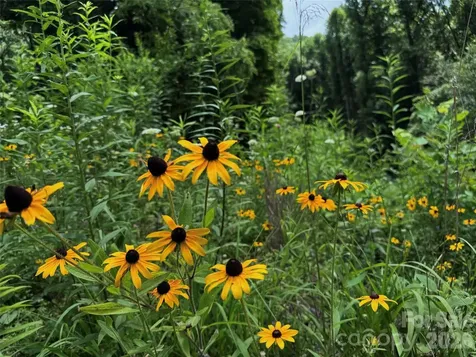 Tbd Paint Fork Road Barnardsville NC 28709