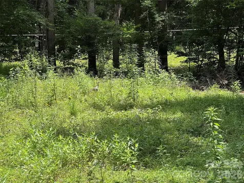 Tbd Paint Fork Road Barnardsville NC 28709