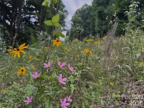 Tbd Paint Fork Road Barnardsville NC 28709