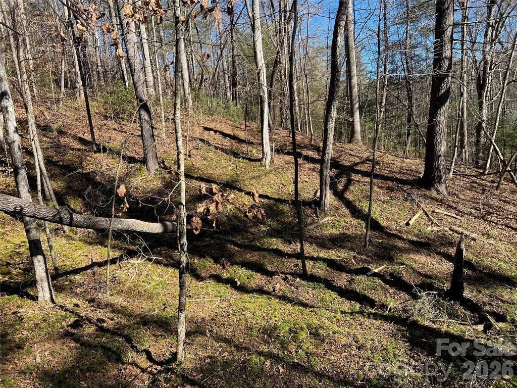 181 Falling Leaves Lane Hendersonville NC 28792
