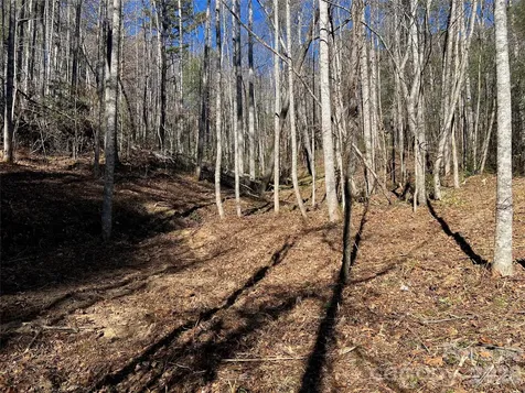 181 Falling Leaves Lane Hendersonville NC 28792