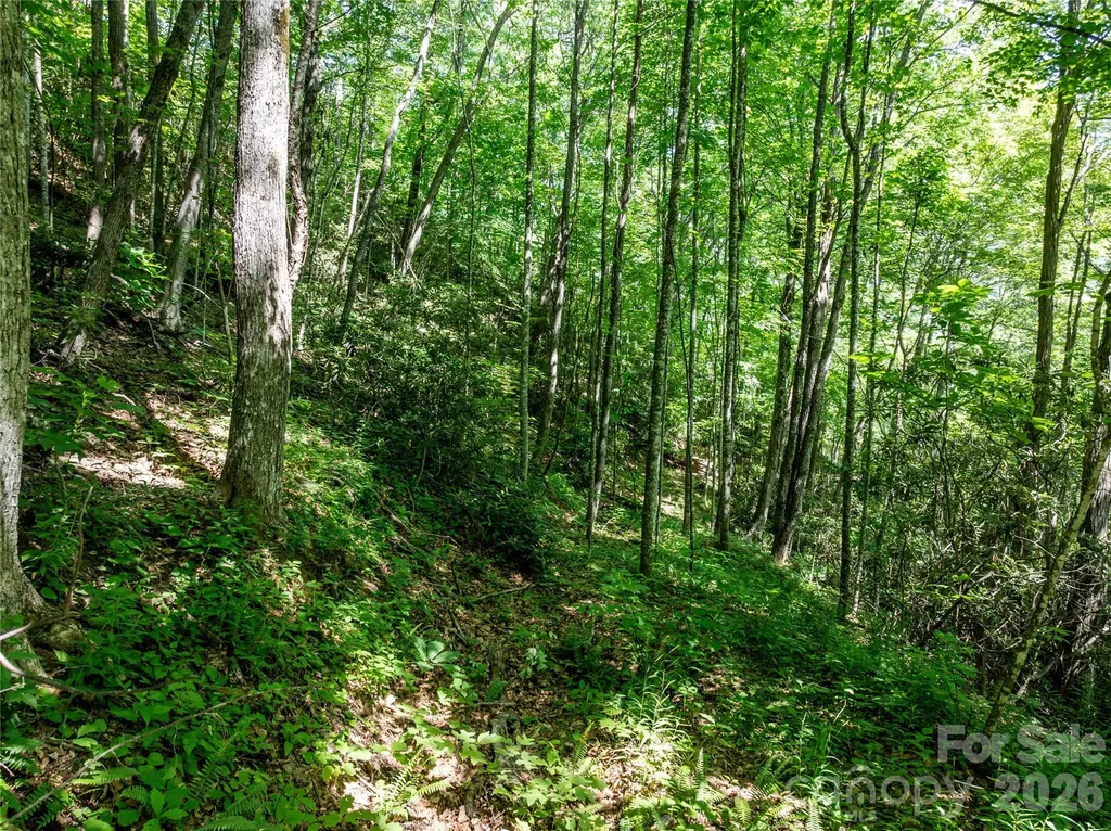 8 White Birch Court Black Mountain NC 28711