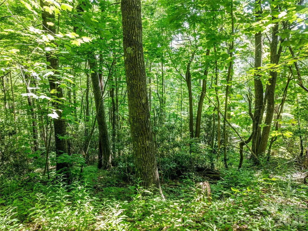 8 White Birch Court Black Mountain NC 28711