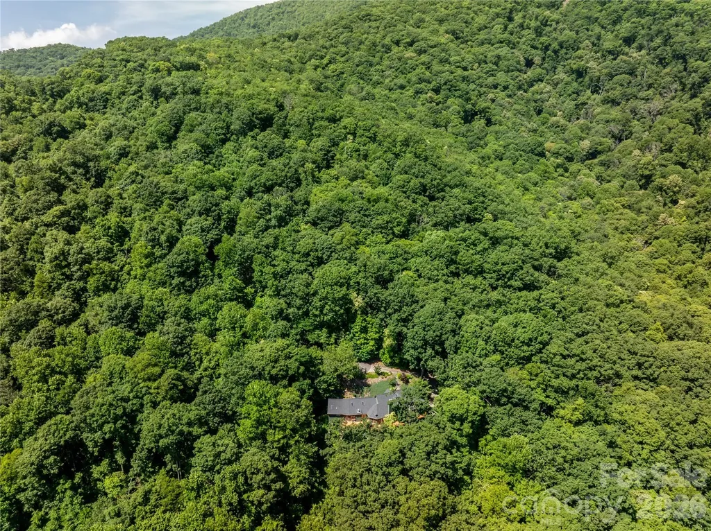 8 White Birch Court Black Mountain NC 28711