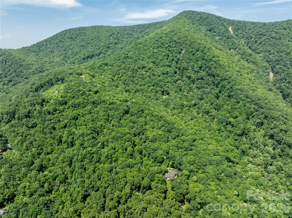 8 White Birch Court Black Mountain NC 28711
