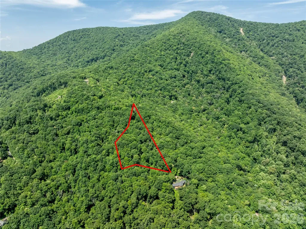 8 White Birch Court Black Mountain NC 28711