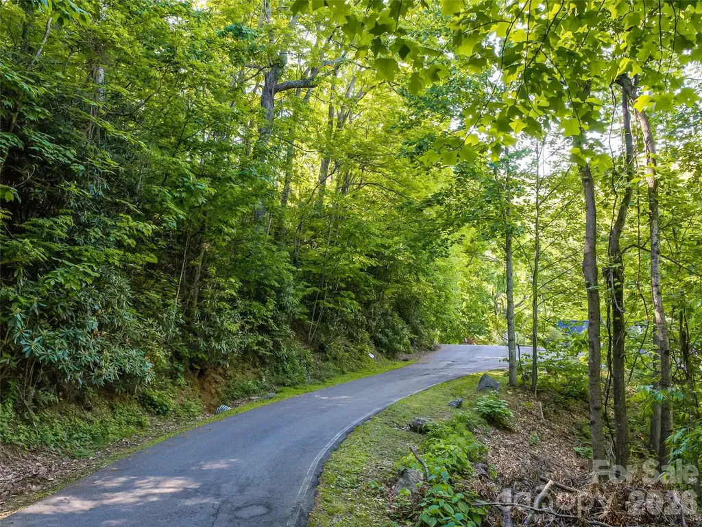 8 White Birch Court Black Mountain NC 28711