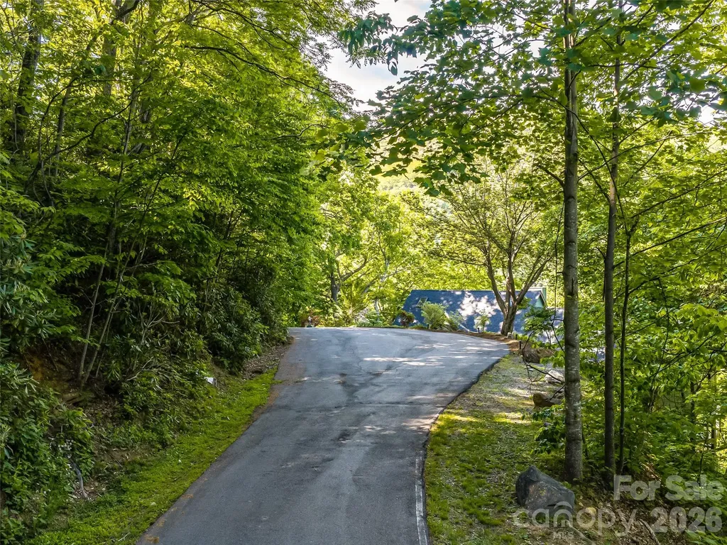 8 White Birch Court Black Mountain NC 28711