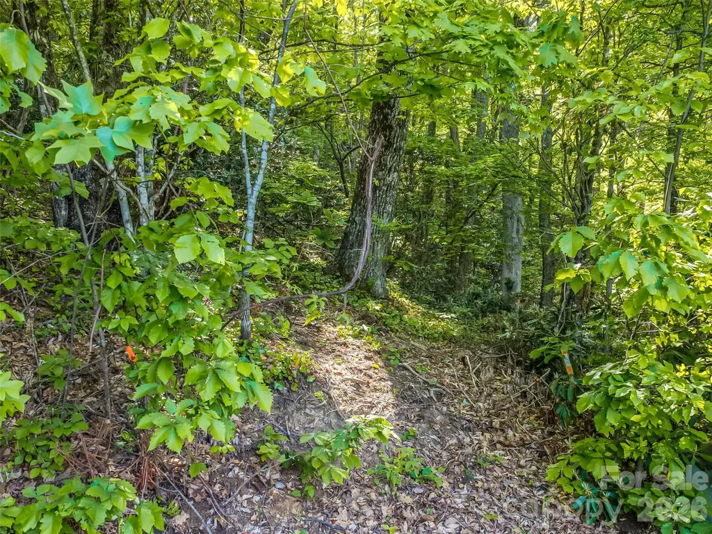 8 White Birch Court Black Mountain NC 28711
