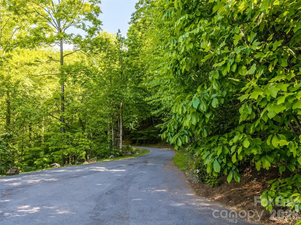 8 White Birch Court Black Mountain NC 28711