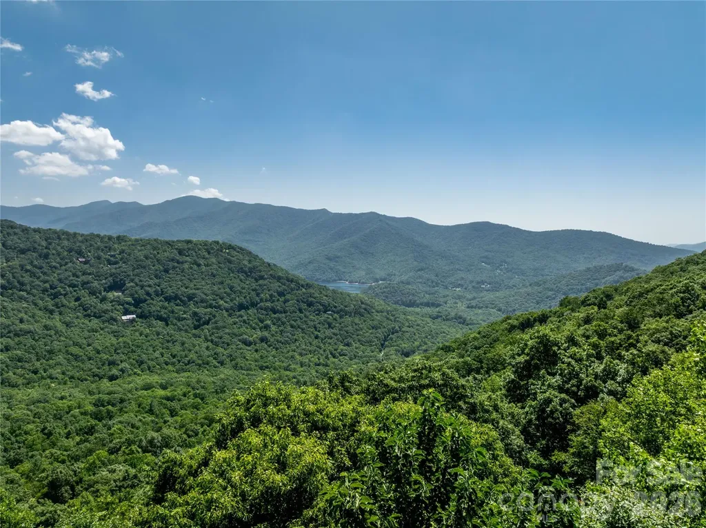 8 White Birch Court Black Mountain NC 28711
