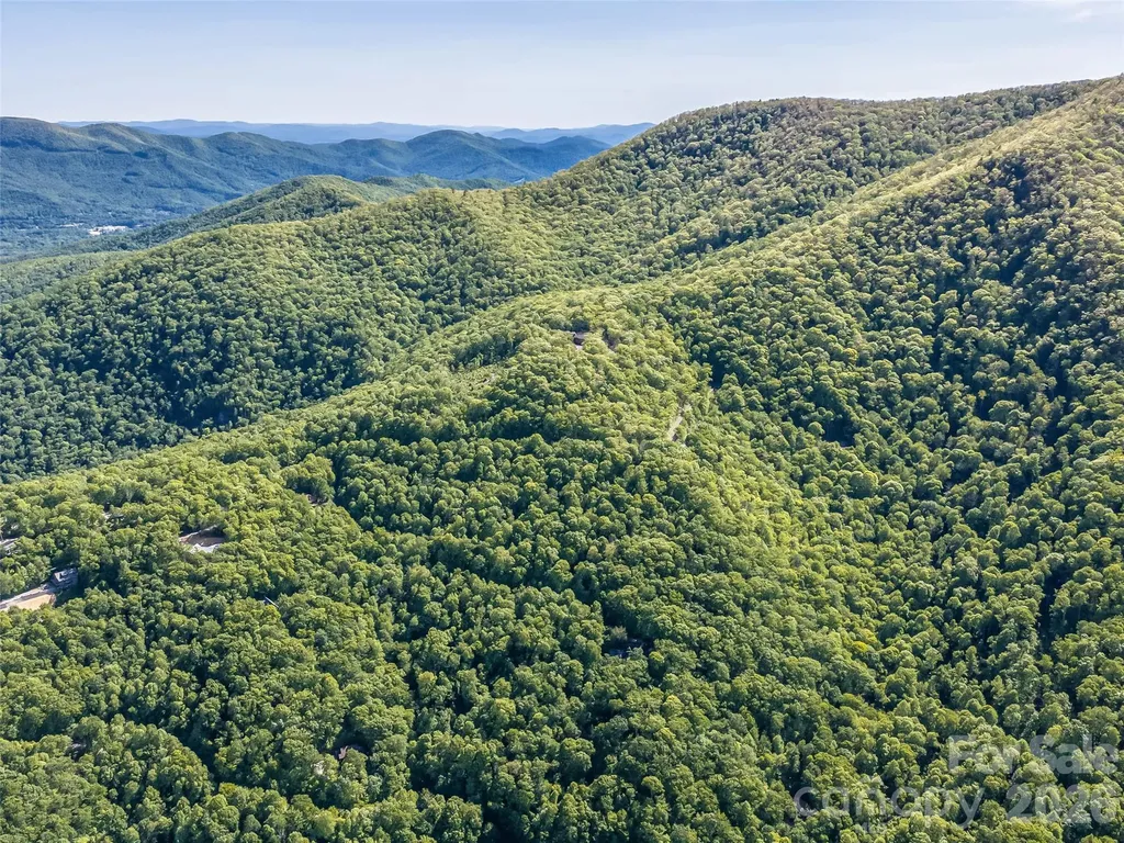 8 White Birch Court Black Mountain NC 28711