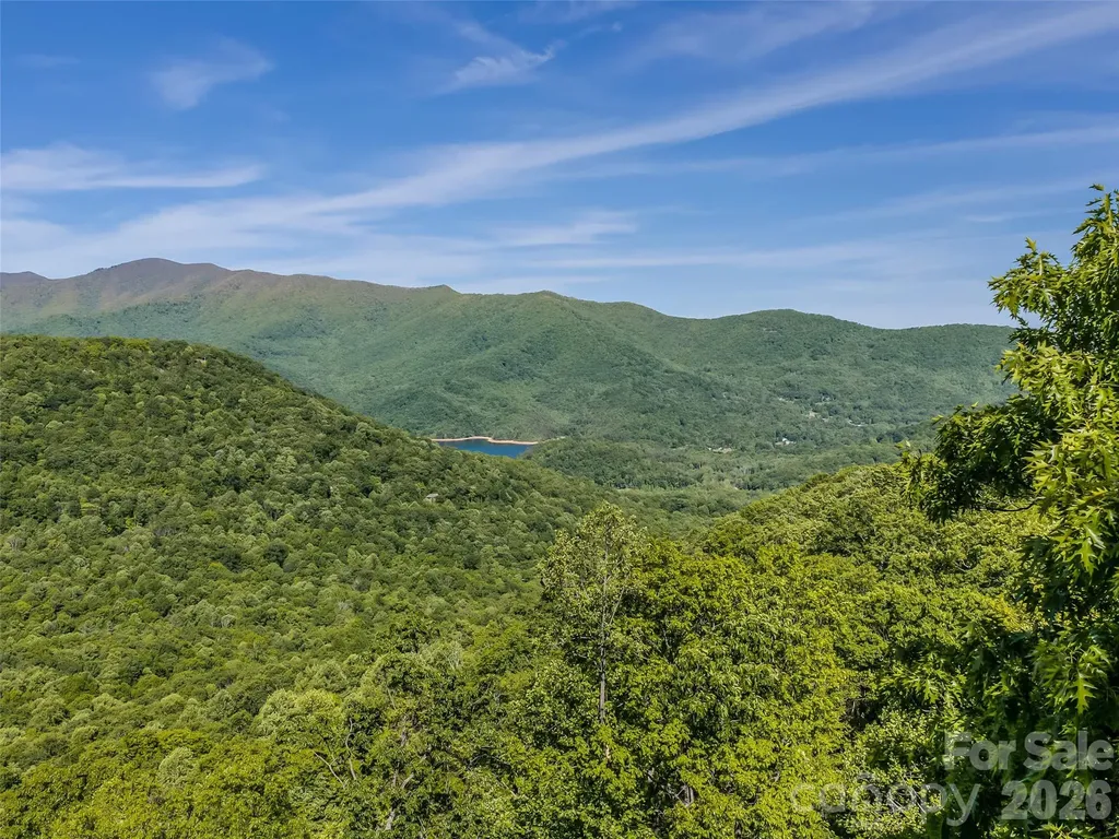 8 White Birch Court Black Mountain NC 28711