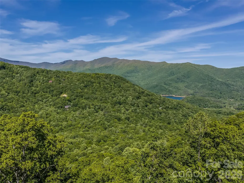 8 White Birch Court Black Mountain NC 28711