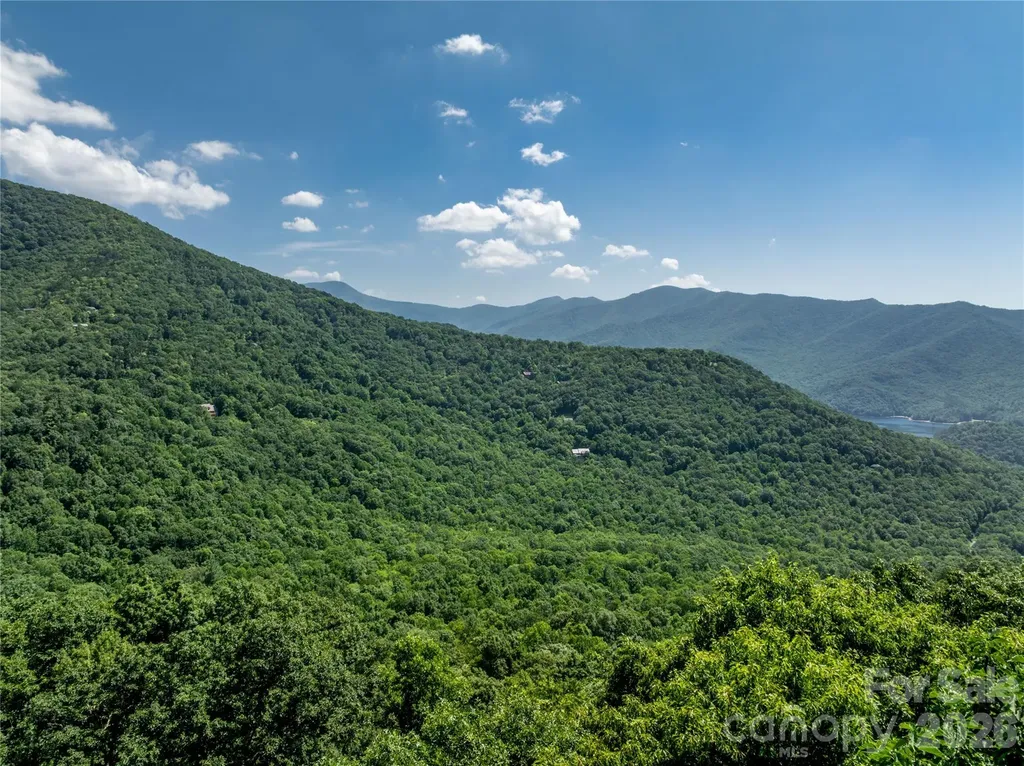 8 White Birch Court Black Mountain NC 28711